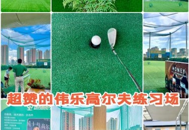 华体会体育全球高尔夫球锦标赛全景回顾：策略、风格与球场环境对比赛结果的深度影响