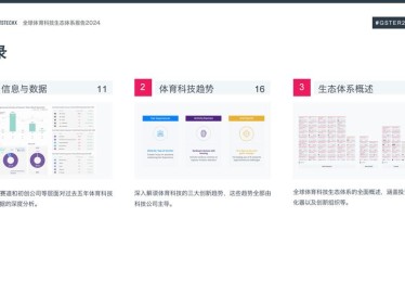 华体会体育app深度报道：探讨全球体育科技公司如何通过创新研发改变运动员训练与比赛方式