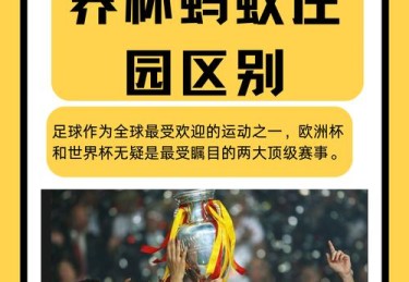 华体会体育平台特别策划：全面解析国际足联改革对全球足球比赛规则及竞技精神的影响