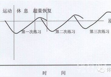 华体会体育app深度解读：从训练场到赛场，揭示跑步运动中姿势优化、呼吸控制与能量管理的科学原理