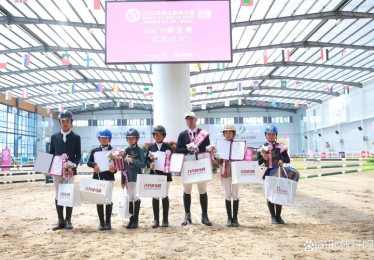 华体会体育app全程跟踪：深度报道国际马术比赛中骑手技术、马匹状态与比赛策略的多重考量