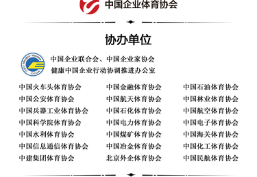 华体会体育平台全程记录：讲述足球俱乐部从资金运作到品牌重塑的全链条转型故事