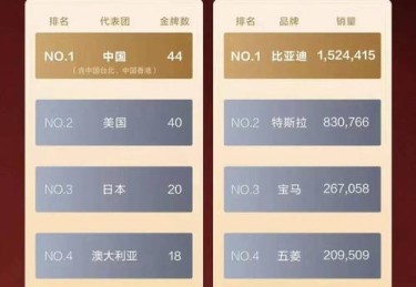 _华体会体育揭秘：如何通过组合投注赢得更多_，组合投注是什么意思