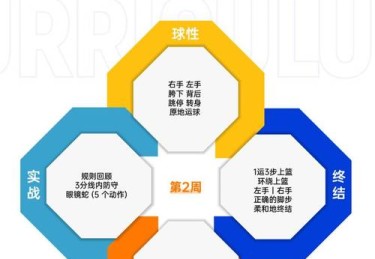 华体会体育app专题：探讨篮球联赛中球队如何通过科学训练与数据反馈实现战术精准执行
