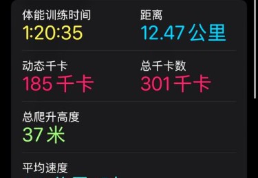 华体会体育app专题报道：探讨国际自行车赛中高速竞技、路线策略与团队协作的技术与艺术