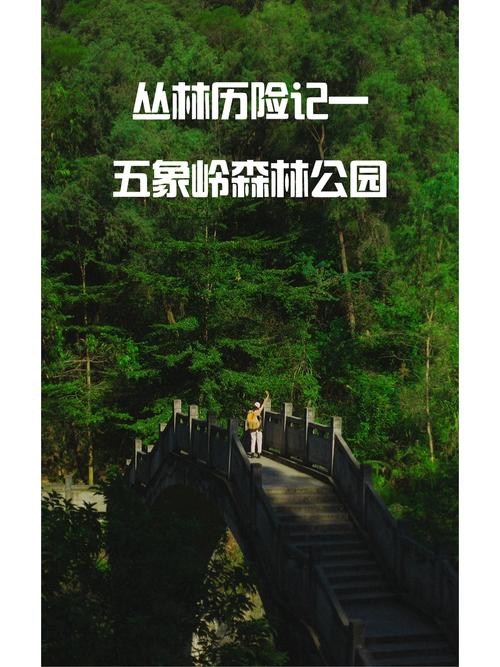 华体会体育:PP电子“丛林奇遇”上线,丛林中的奇妙冒险,体育活动丛林历险记