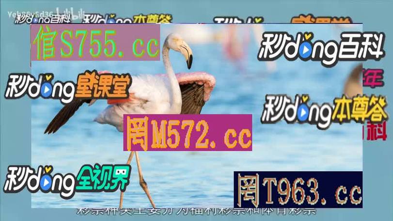 华体会体育官网:PP电子全新“古代秘宝”上线,探寻失落的文明