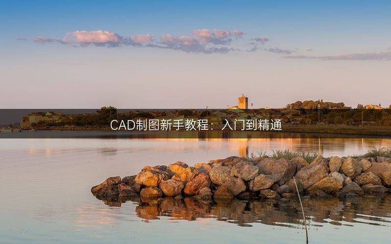华体会体育官网:华体会推出百家乐新手教程,轻松掌握投注技巧