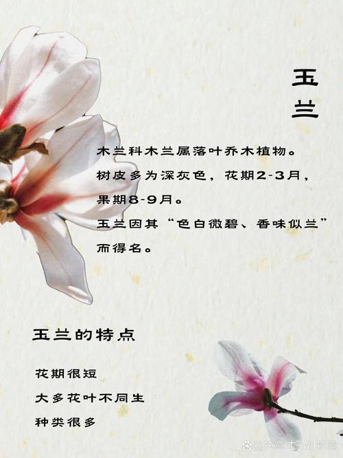 华体会体育官网新闻:电竞博彩的高赔率战队有哪些?专家带您分析