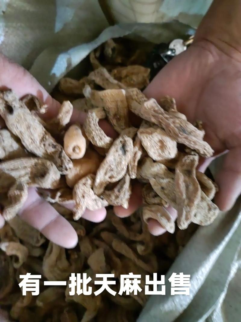 华体会体育app快讯:轮盘赌中的直注和分注,哪个更有优势?