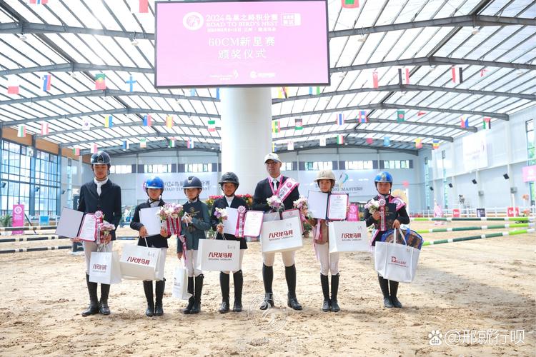 华体会体育app全程跟踪:深度报道国际马术比赛中骑手技术、马匹状态与比赛策略的多重考量
