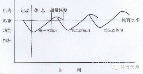 华体会体育app深度解读:从训练场到赛场,揭示跑步运动中姿势优化、呼吸控制与能量管理的科学原理