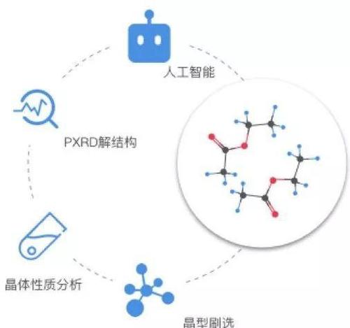 华体会体育平台全景呈现:从教练到球员,深度探讨如何通过团队协作实现赛场内外的共同进步