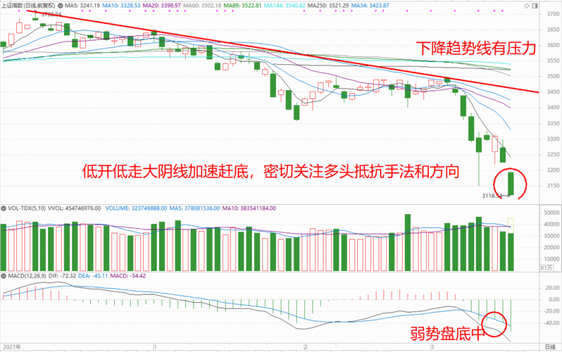 华体会体育全景记录:盘点体育博彩中的经典案例,详解赔率波动、盘口调整与风险对冲策略的核心要素
